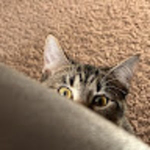 Meet your Posher, Baylee